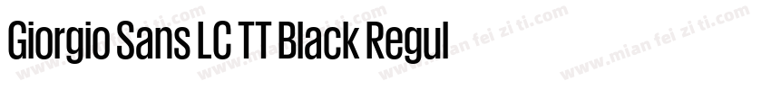 Giorgio Sans LC TT Black Regular字体转换